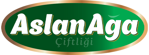 AslanAga Logo